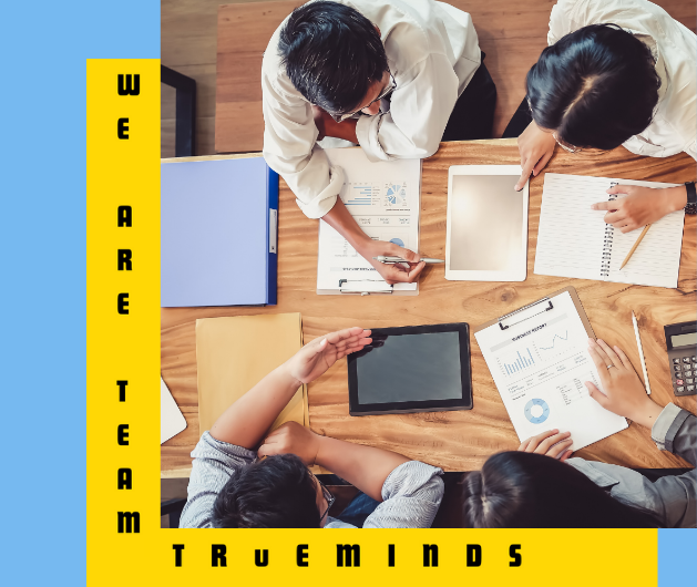 about truminds digital marketing
